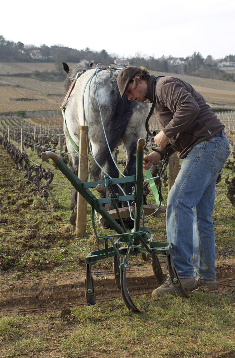 domaine de bellene