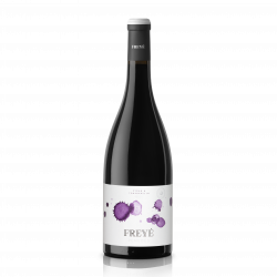 Freyé Vallformosa - Syrah/Tempranillo